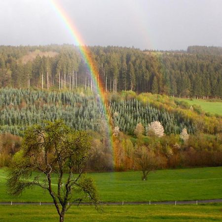 Eifel Rebeige Gerolstein Apartment Kopp Bagian luar foto