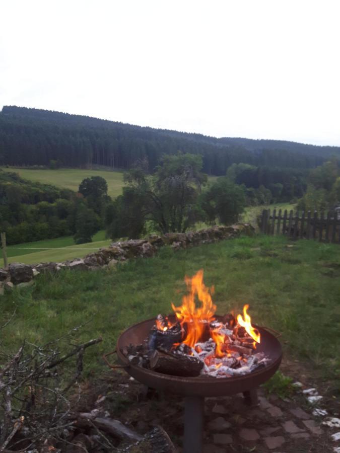 Eifel Rebeige Gerolstein Apartment Kopp Bagian luar foto