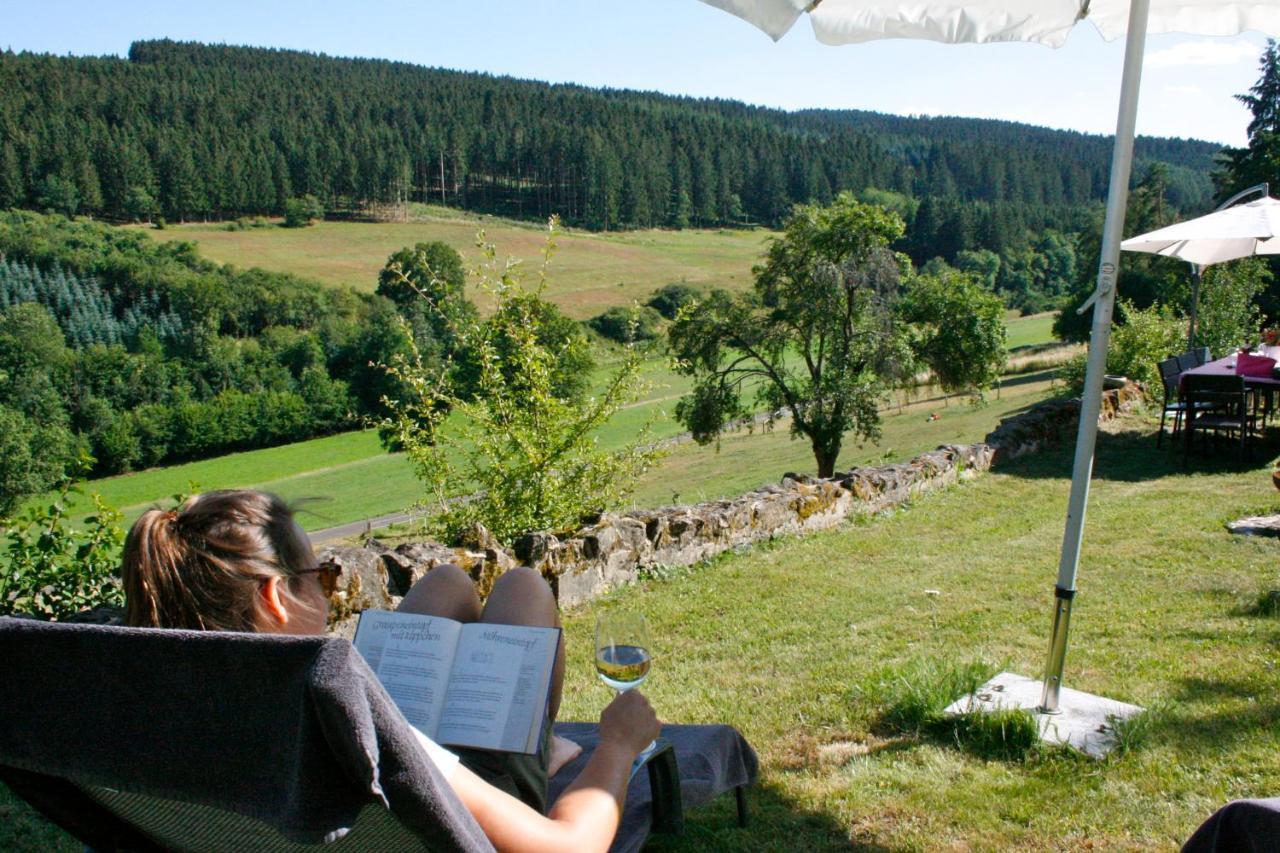 Eifel Rebeige Gerolstein Apartment Kopp Bagian luar foto