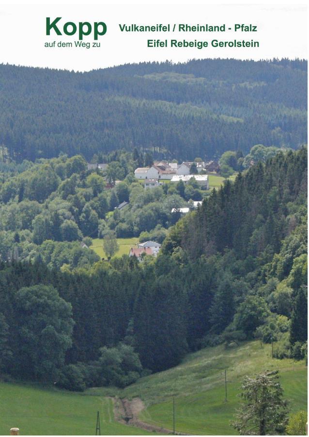 Eifel Rebeige Gerolstein Apartment Kopp Bagian luar foto