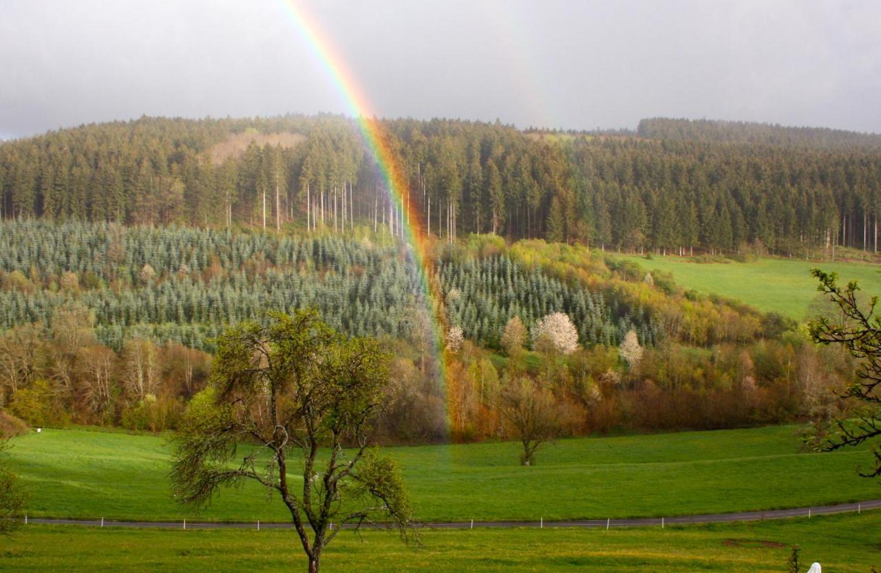 Eifel Rebeige Gerolstein Apartment Kopp Bagian luar foto